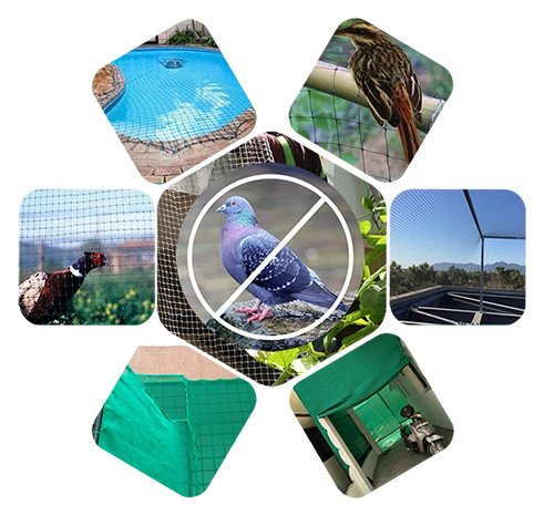Sri Balaji Safety Nets and Invisible Grills Services Raipur
