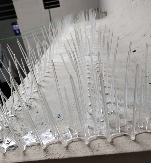 Anti Bird Spikes Raipur