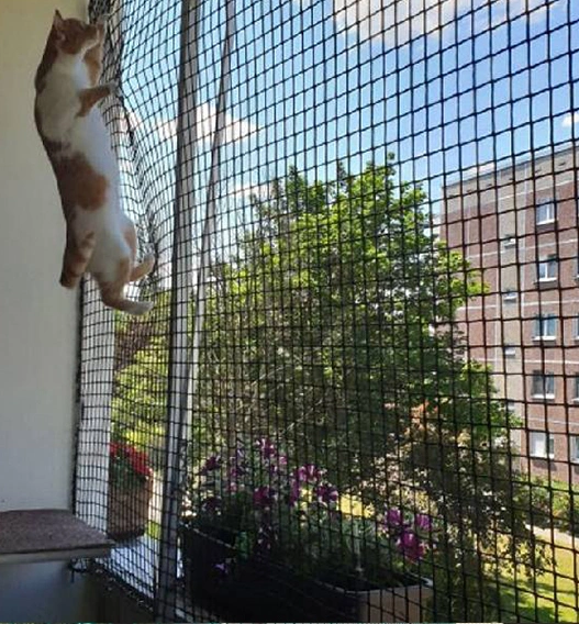 Pets Safety Nets Raipur