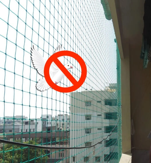 Pigeon Safety Nets Raipur