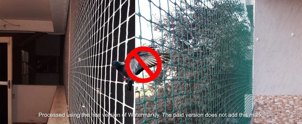 Anti Bird Nets – Complete Bird Exclusion Solution