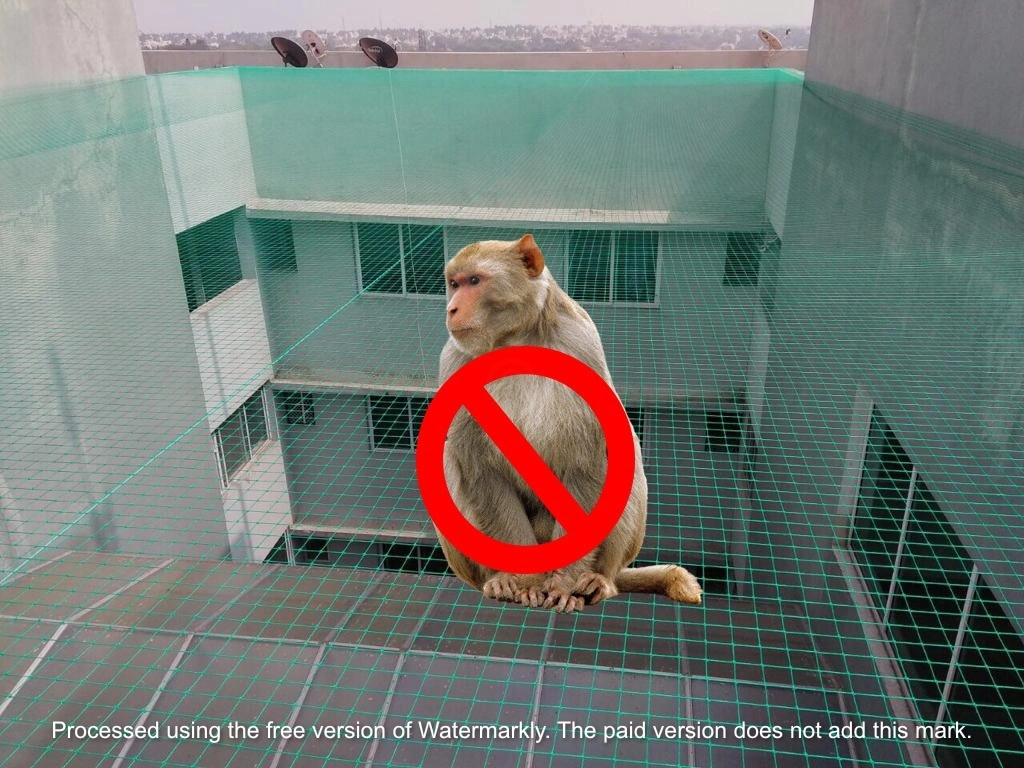 Monkey Safety Nets – Keeping Monkeys Out of Your Home