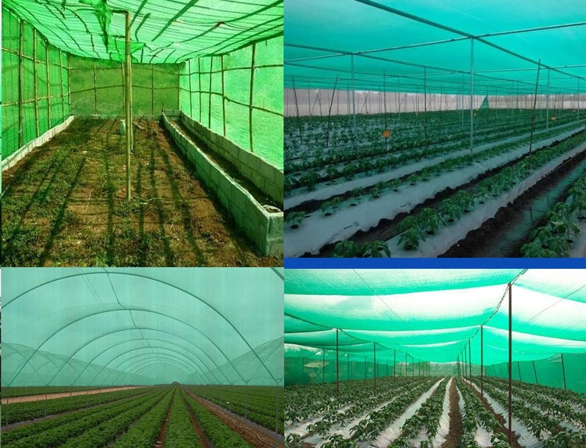Shade Nets – UV Protection for Every Outdoor Space